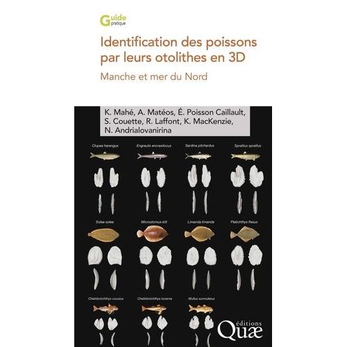 Identification Des Poissons Par Leurs Otolithes En 3d - Manche Et Mer Du Nord
