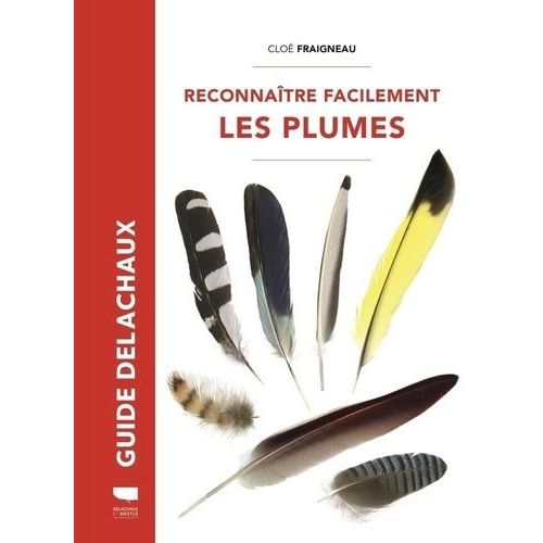Reconnaître Facilement Les Plumes