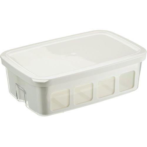 SHIBA-Seb XF101001 Delices Box Coffret d'un Bac 1 L Yaourt-Fromage Blanc avec Égouttoir[904]