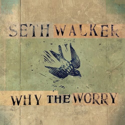 Seth Walker - Why The Worry [Vinyl Lp]