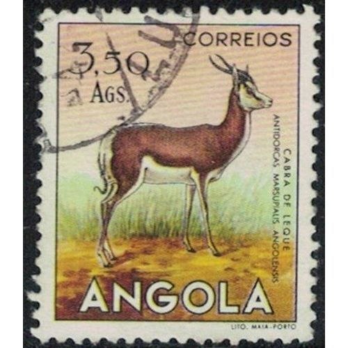 Angola 1953 Antilope Cabra De Leque Antidorcas Marsupialis Y&T Ao 369 Su