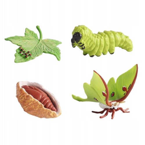 Figurines d'animaux de simulation du cycle de vie cognitif