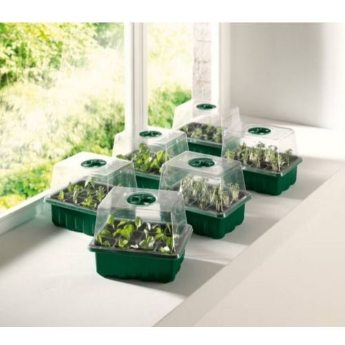 Lot de 10 mini serres avec accessoires