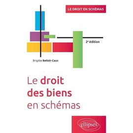 Le Droit Des Biens En Schémas
