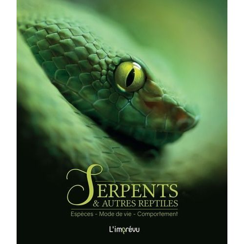 Serpents Et Autres Reptiles - Espèces, Mode De Vie, Comportement