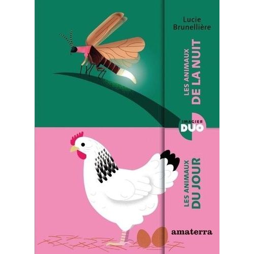 Les Animaux Du Jour - Les Animaux De La Nuit