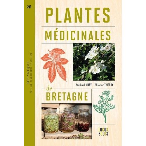 Plantes Médicinales De Bretagne - Cueillir, Transformer Et Utiliser