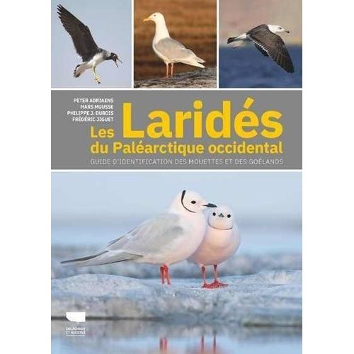Les Laridés Du Paléarctique Occidental - Guide D'identification Des Mouettes Et Des Goélands