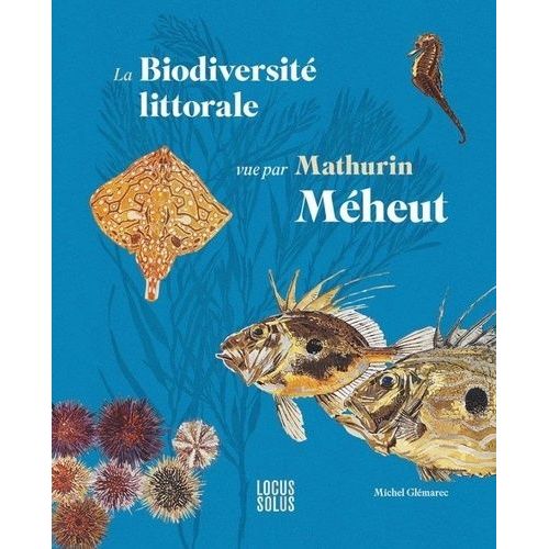 La Biodiversité Littorale Vue Par Mathurin Méheut
