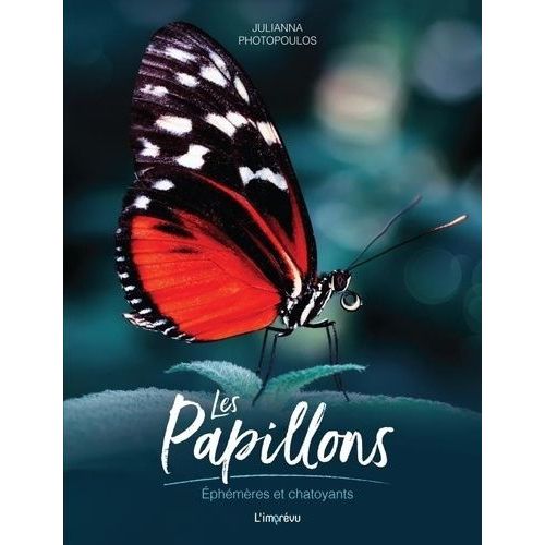 Les Papillons - Ephémères Et Chatoyants