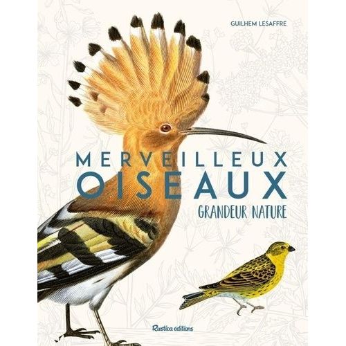 Merveilleux Oiseaux - Grandeur Nature