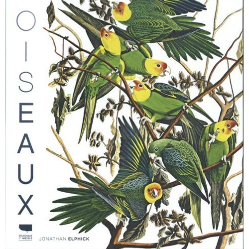 Oiseaux