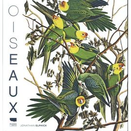 Oiseaux