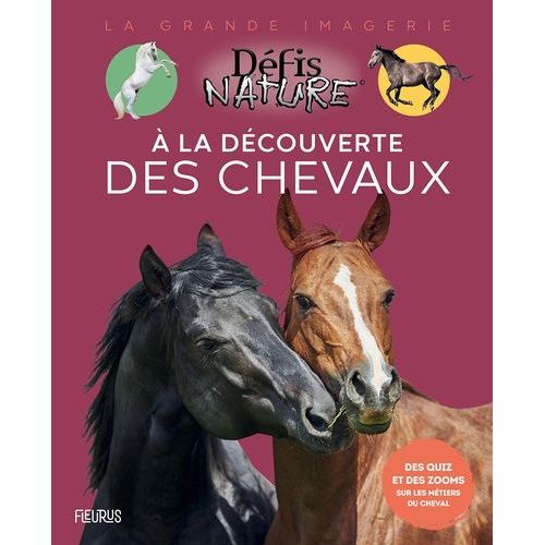 A La Découverte Des Chevaux