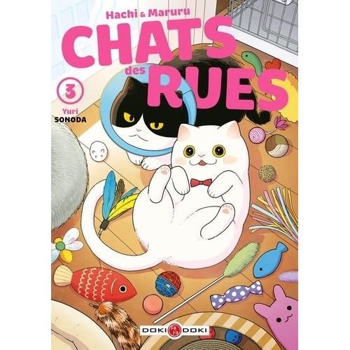 Hachi Et Maruru - Chats Des Rues - Tome 3