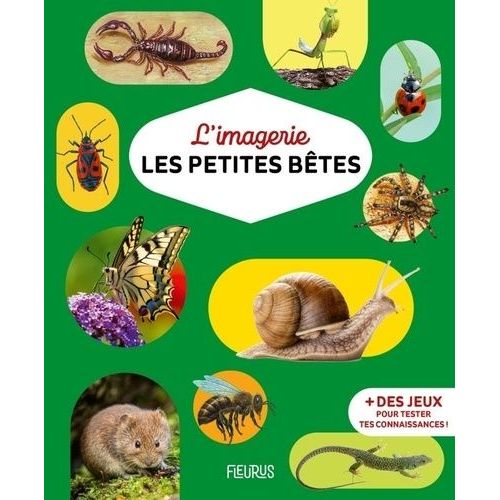 Les Petites Bêtes