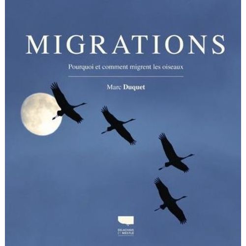 Migrations - Pourquoi Et Comment Migrent Les Oiseaux