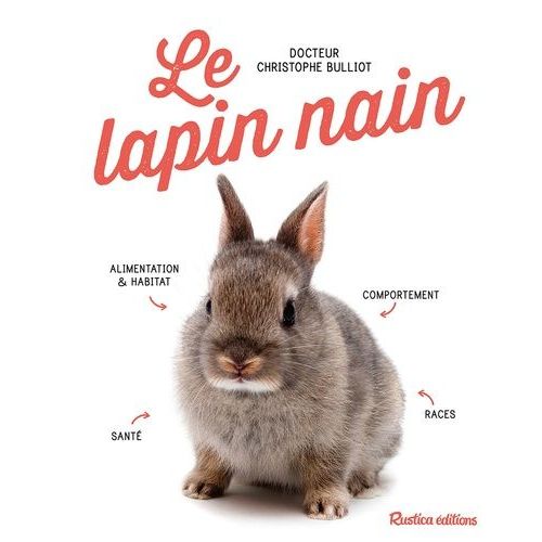 Le Lapin Nain