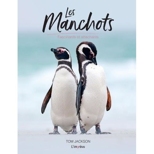 Les Manchots - Fascinants Et Attachants