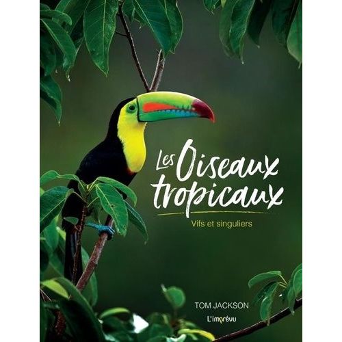 Les Oiseaux Tropicaux - Vifs Et Singuliers