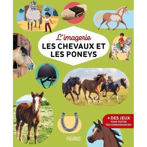 Les Chevaux Et Les Poneys