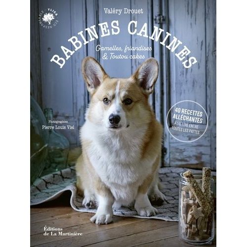 Babines Canines - Gamelles, Friandises Et Toutou Cakes