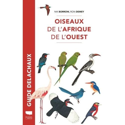 Oiseaux De L'afrique De L'ouest