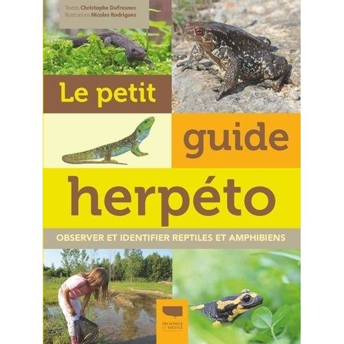 Le Petit Guide Herpéto - Observer Et Identifier Reptiles Et Amphibiens