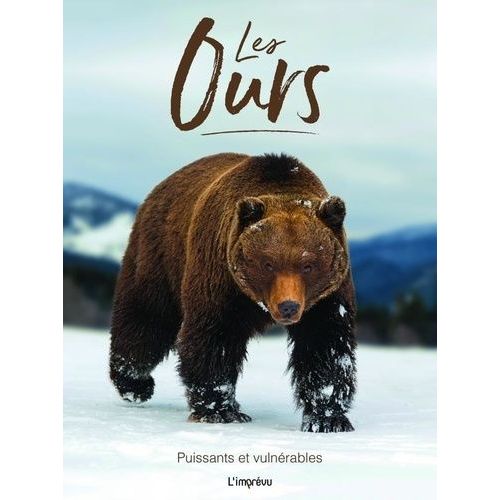 Les Ours - Puissants Et Vulnérables
