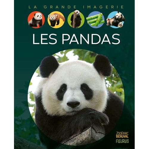 Les Pandas