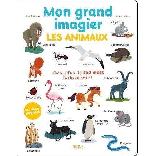 Mon Grand Imagier Les Animaux