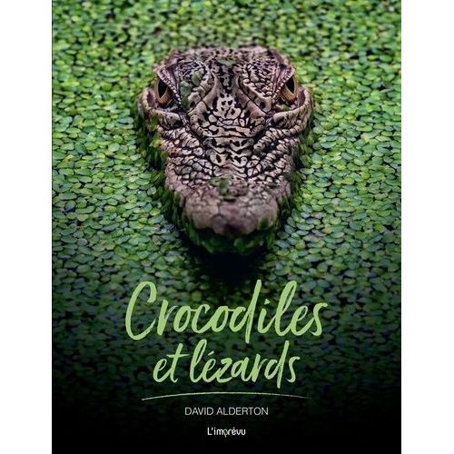 Crocodiles Et Lézards