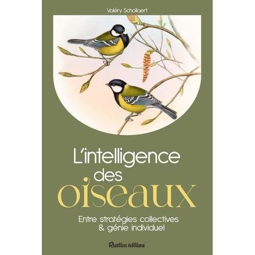 L'intelligence Des Oiseaux - Entre Stratégies Collectives & Génie Individuel