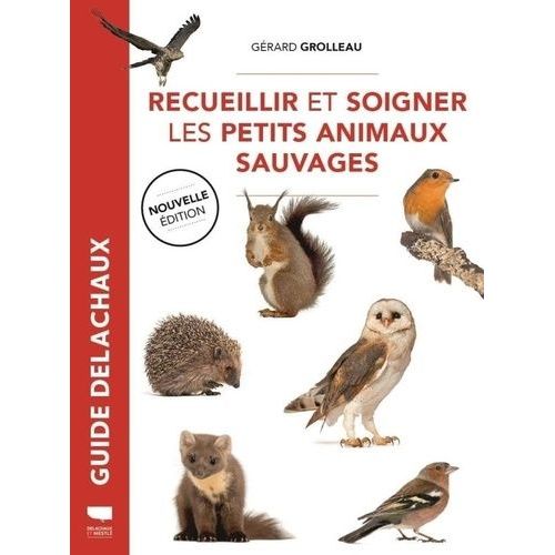 Recueillir Et Soigner Les Petits Animaux Sauvages