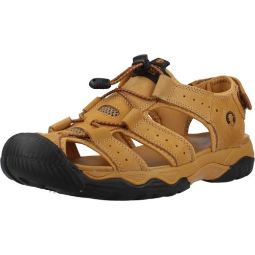 Coronel Tapiocca T222 3 Colour Jaune