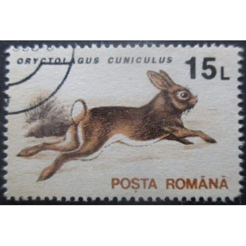 Roumanie N°4095 Lièvre Oblitéré