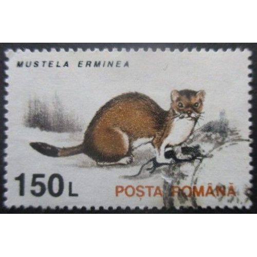 Roumanie N°4102a Papier Blanc Hermine Oblitéré
