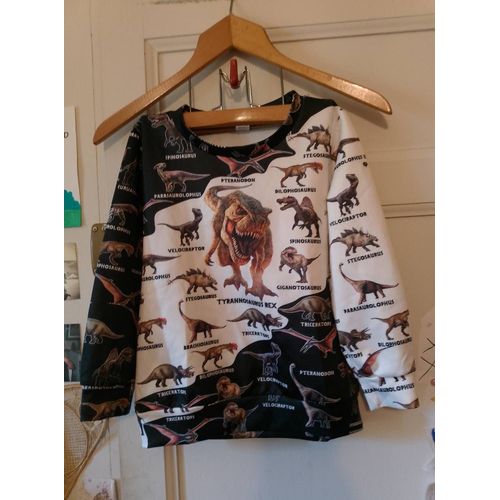 Sweat Coloré Motifs Dinosaures 5 Ans.