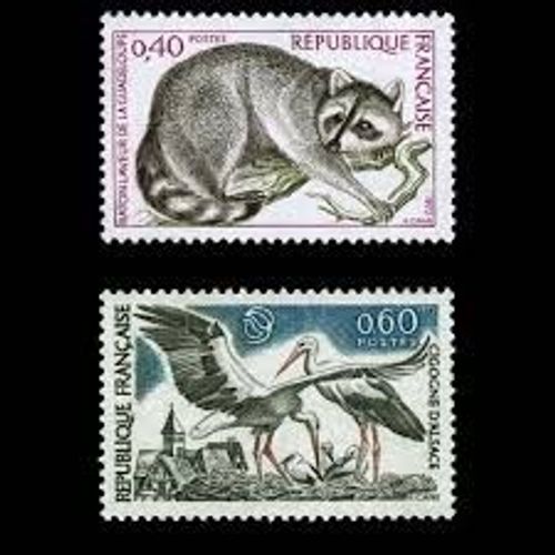 Protection De La Nature : Raton Laveur Et Cigognes D'Alsace La Paire Année 1973 N° 1754 1755 Yvert Et Tellier Luxe