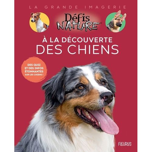 A La Découverte Des Chiens