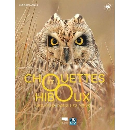 Chouettes Et Hiboux - Les Yeux Dans Les Yeux