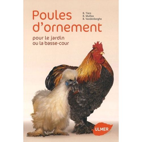 Poules D'ornement Pour Le Jardin Ou La Basse-Cour
