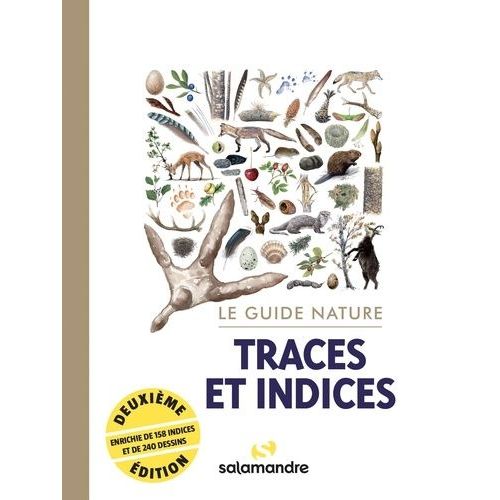 Traces Et Indices