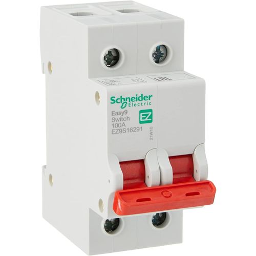 Hamiltion-Ez9S16291 Easy9 Disjoncteur 2P 100 A 400 V 50/60 Hz Gris
