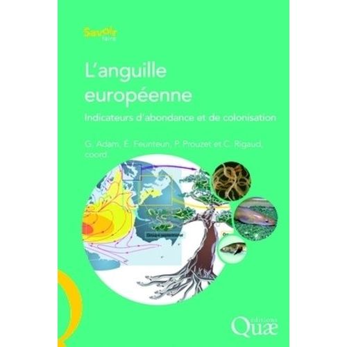 L'anguille Européenne - Indicateurs D'abondance Et De Colonisation