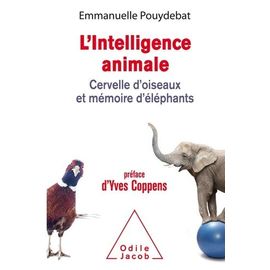 L'intelligence Animale - Cervelle D'oiseaux Et Mémoire D'éléphants