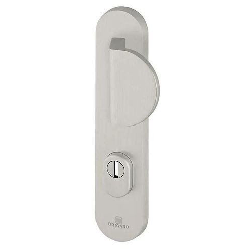 Ensemble poignée de porte blindée aileron sur plaque standard eSSENTIAL Bricard entraxe 195mm brossé argent