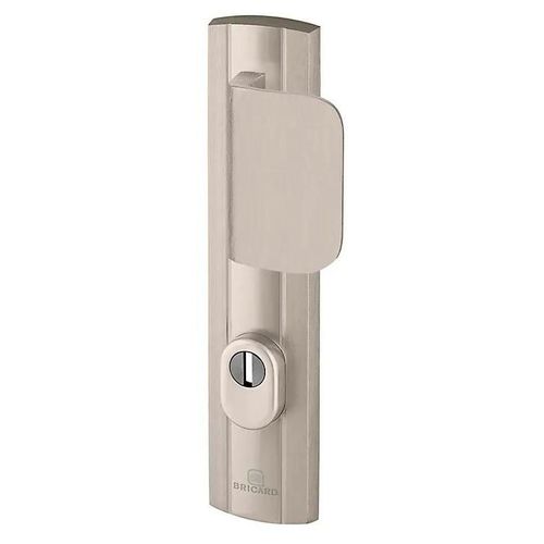 Ensemble poignée de porte aileron blindée sur plaque standard eXPRESSION Bricard entraxe 195mm brossé gris