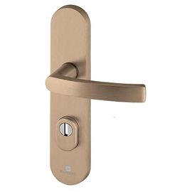 Ensemble poignée de porte blindée sur plaque standard eSSENTIAL Bricard entraxe 195mm brossé bronze