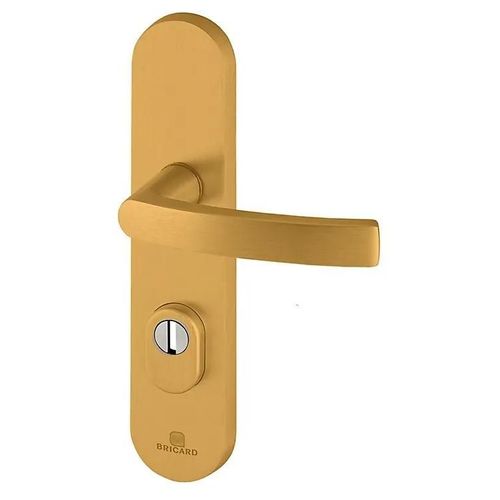 Ensemble poignée de porte blindée sur plaque standard eSSENTIAL Bricard entraxe 195mm brossé or